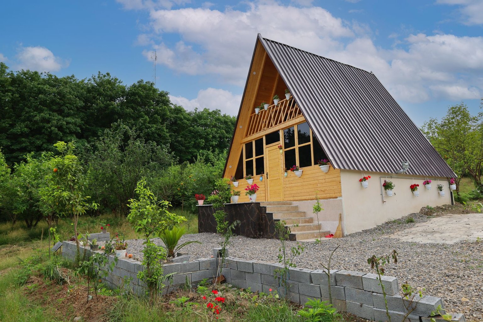 یک خوابه سوئیسی توسکا ازارسی