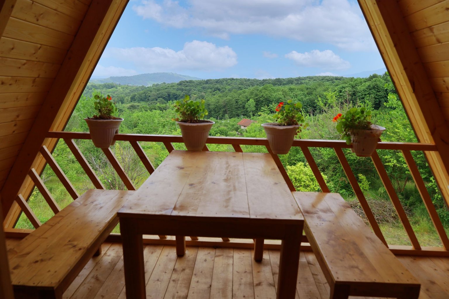 یک خوابه سوئیسی توسکا ازارسی