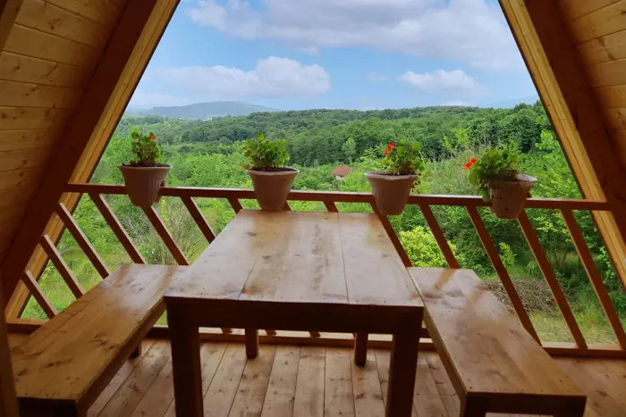 کلبه یک خوابه سوئیسی توسکا ازارسی