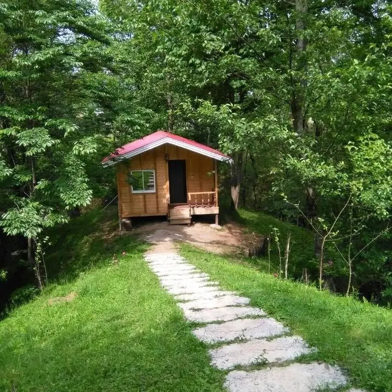 کلبه یک خوابه جنگلی هاوش 3