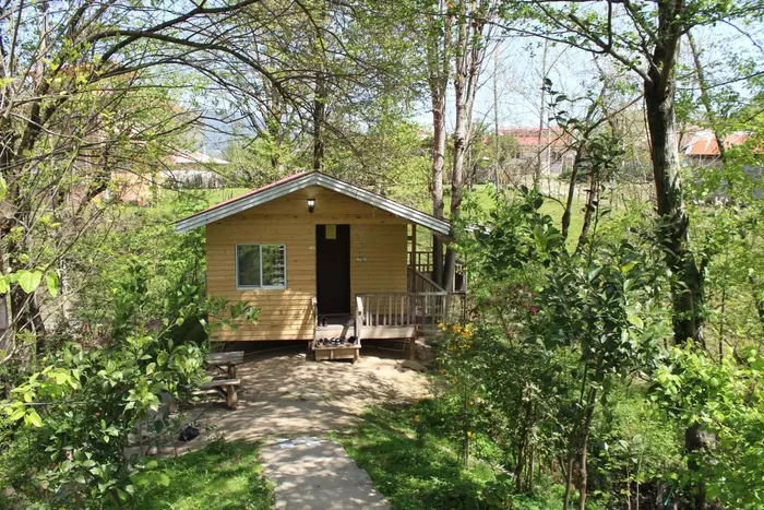 کلبه یک خوابه جنگلی هاوش 3