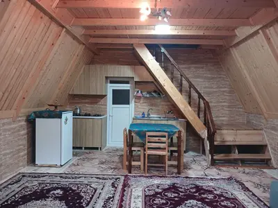 کلبه یک خوابه سوئیسی سیاهمرد ۱