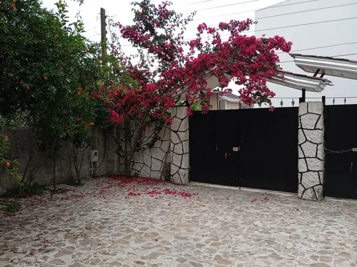 ویلای جنگلی نور مازندران