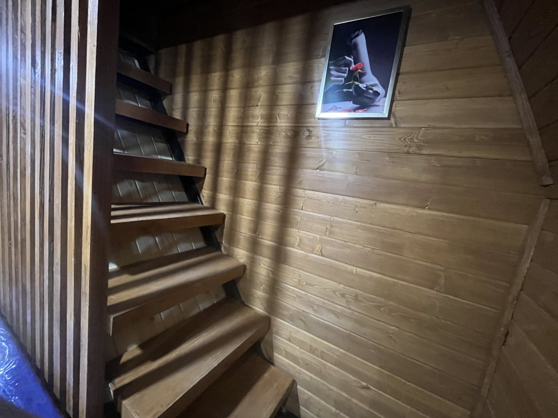 کلبه یک خوابه سوئیسی پاشاکلا