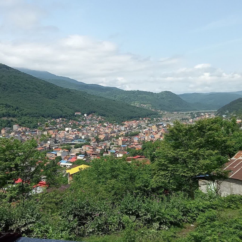 ویلا یک خوابه جنگلی بید مجنون