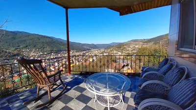 ویلا یک خوابه جنگلی بید مجنون