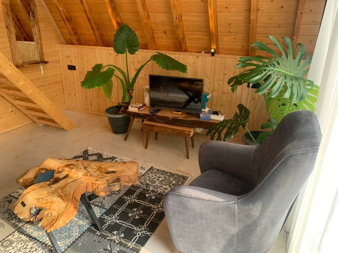 کلبه یک خوابه سوئیسی جکوزی دار کوهستان