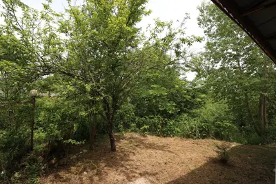 ویلا دوخوابه جنگلی سادات