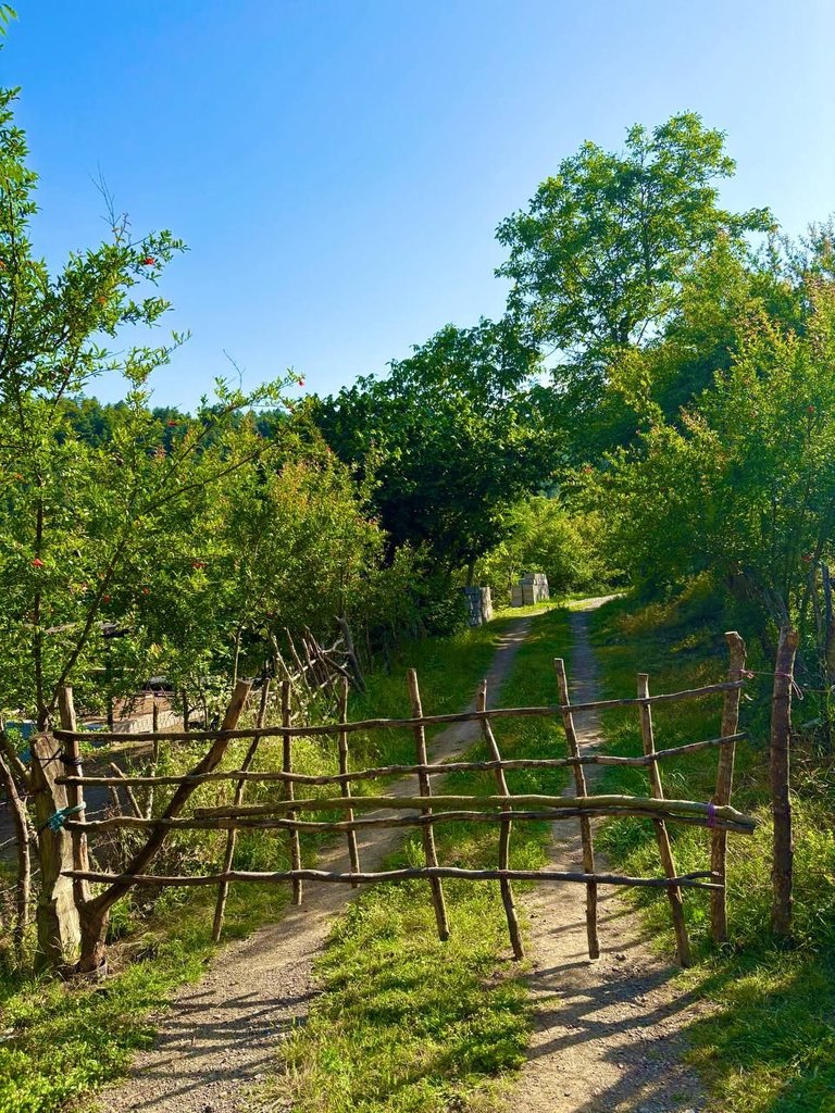 کلبه دوخوابه سوئیسی آنیدا