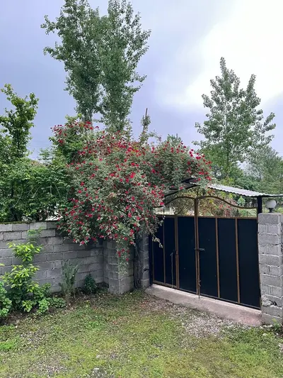 ویلا دوخوابه جنگلی ناب