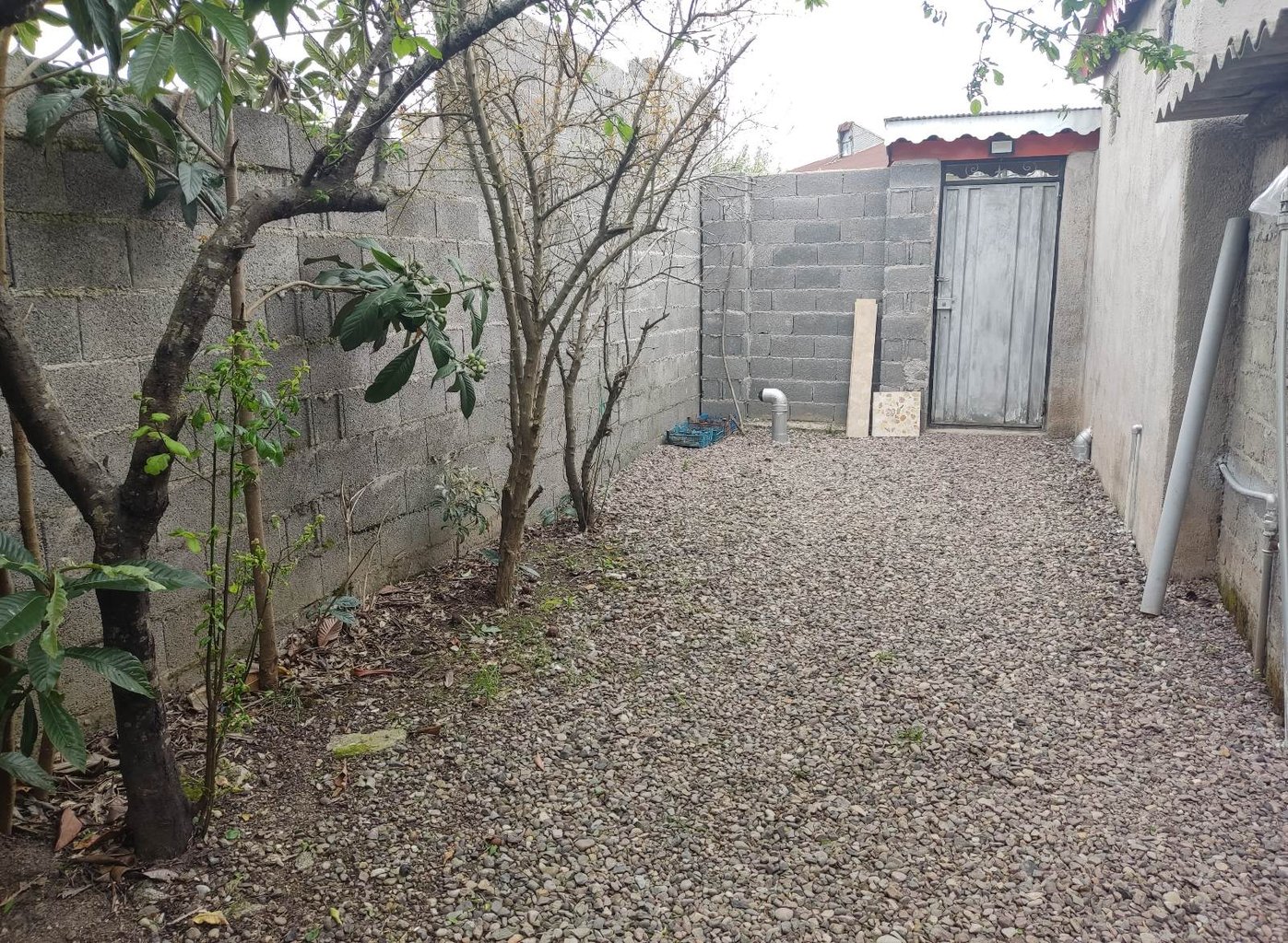 سوئیت سوییت رادوار 