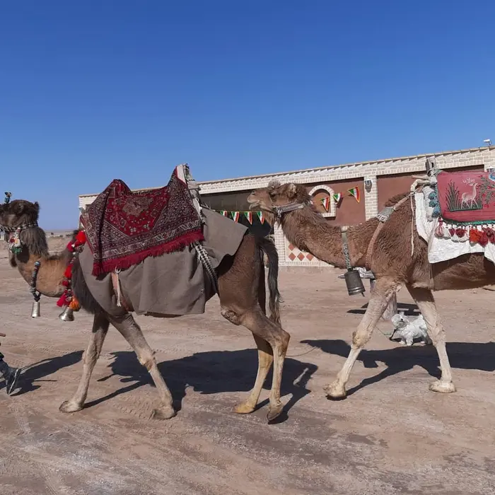 کویری لیلی و مجنون - واحد ۱۵متری دونفره