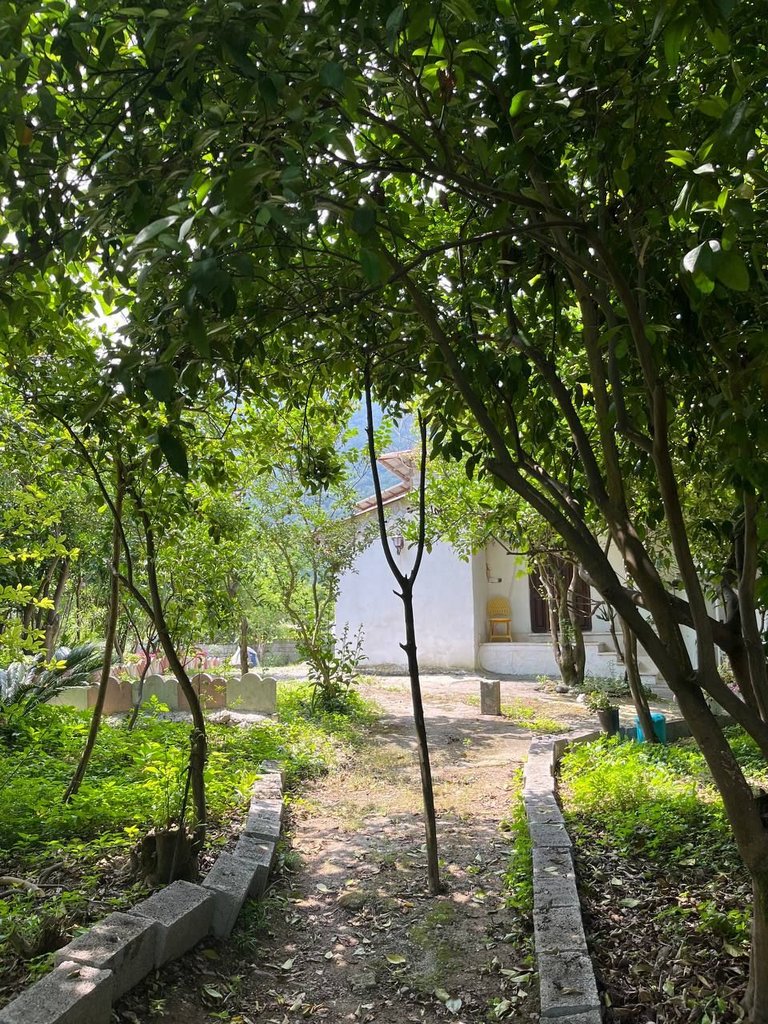 سوئیت یک خوابه پارادایس