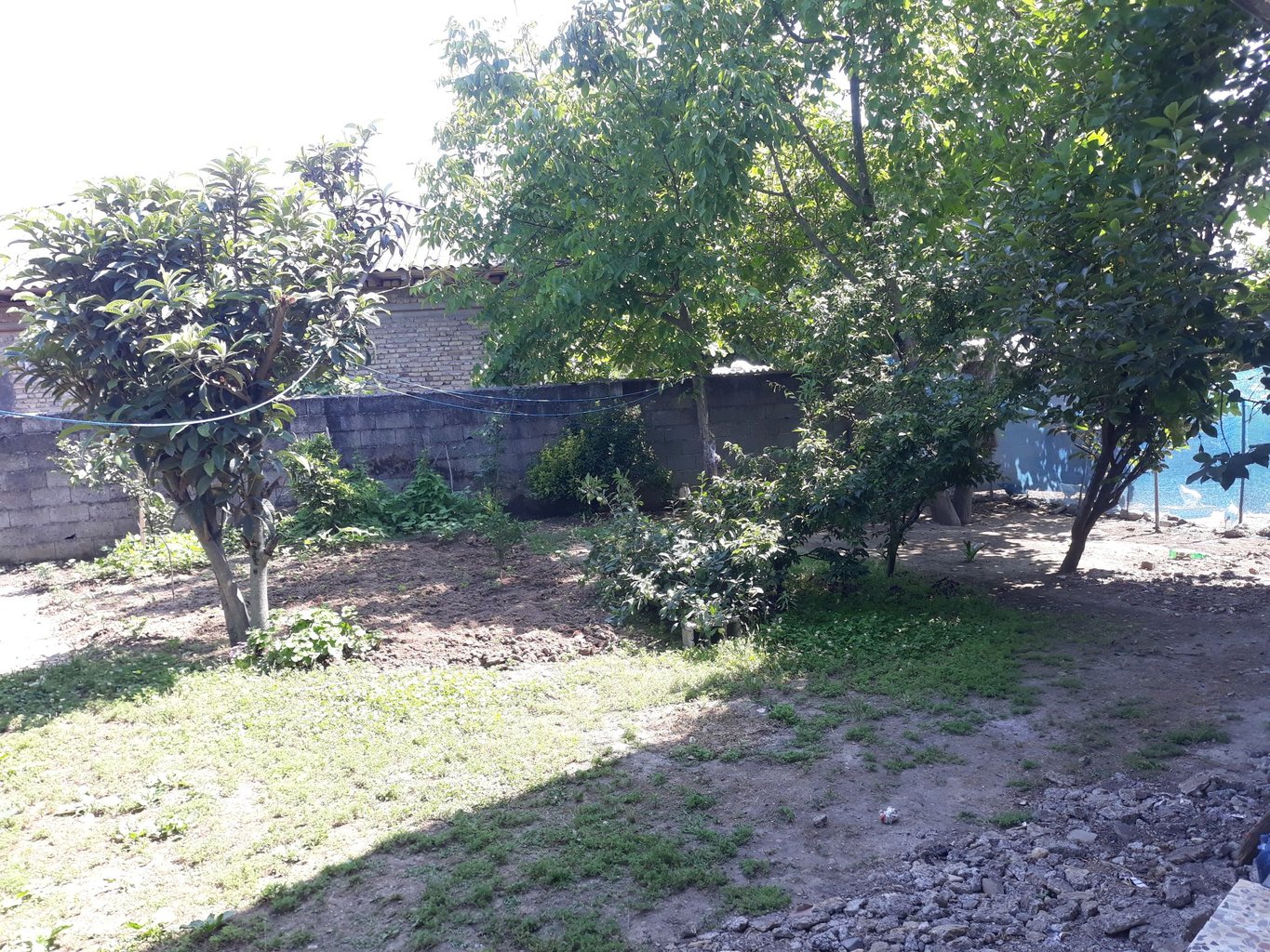 ویلا یک خوابه نیک پی