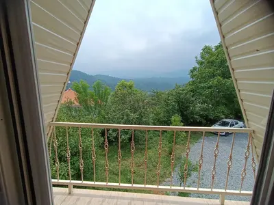 کلبه کلبه جنگلی مازیار شاه