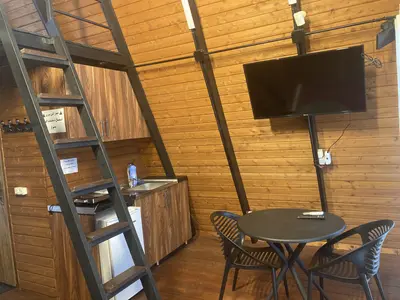 کلبه یک خوابه دوبلکس سوئیسی میراث 1