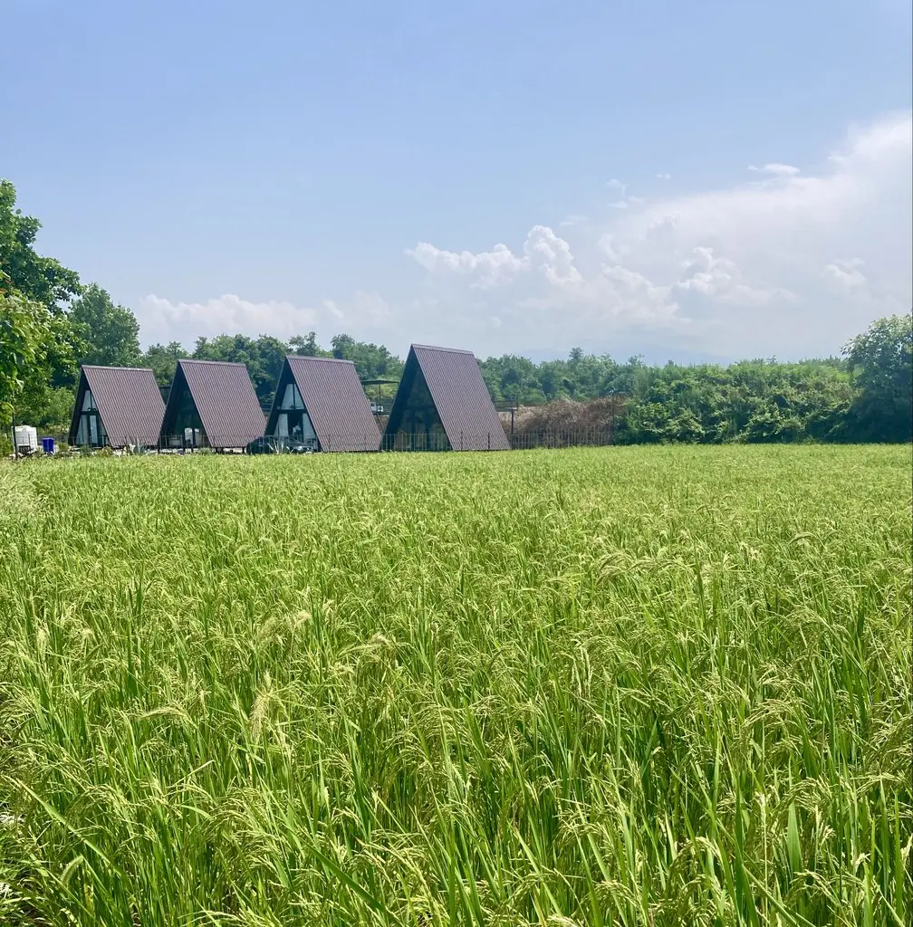 کلبه یک خوابه دوبلکس سوئیسی میراث 3