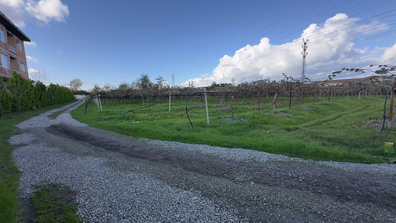 بوم گردی یک خوابه خوابه دهکده سبز