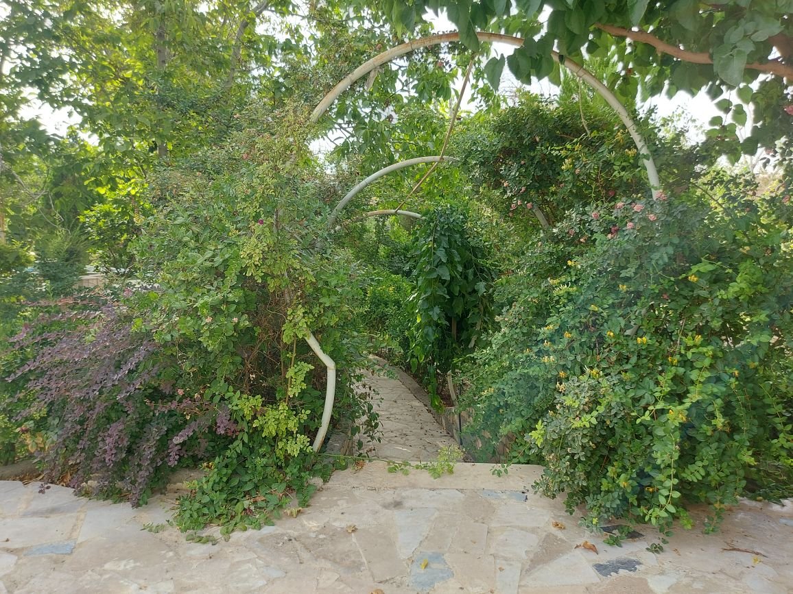 ویلا یک خوابه بهشت سرسبز