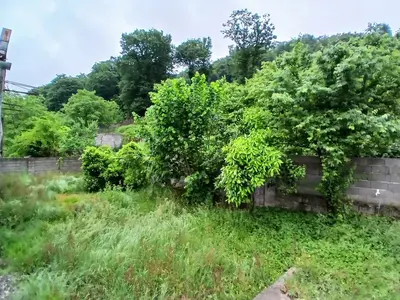 ویلا یک خوابه جنگلی اندارگلی 1