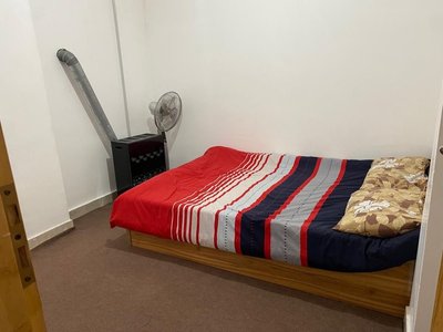 بومگردی شوکا - واحد حکیم فردوسی