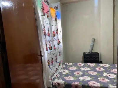 بومگردی شوکا - واحد داریوش کبیر