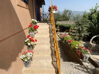 بومگردی شوکا - واحد داریوش کبیر