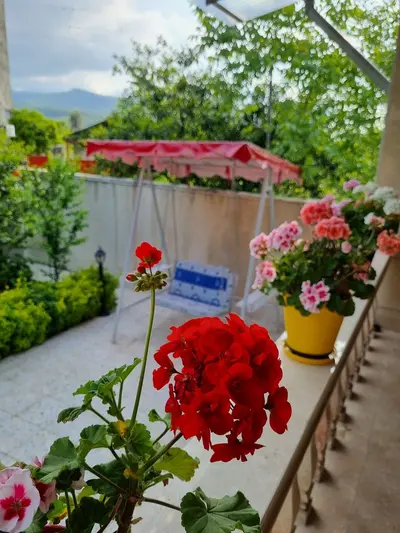 ویلا یک خوابه منیفا