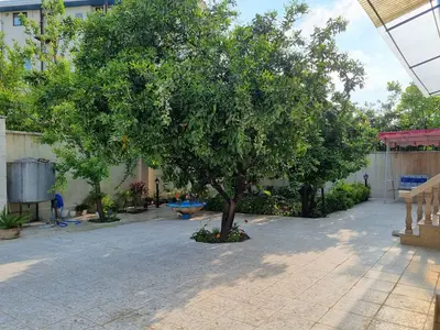 ویلا یک خوابه منیفا