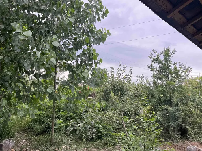 ویلا یک خوابه دايان - انتخاب عنوان تصویر