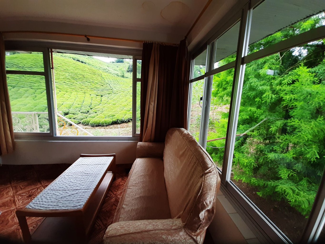 ویلا دوخوابه جنگلی سرای بهشت - پذیرایی اول با چشم انداز طبیعت