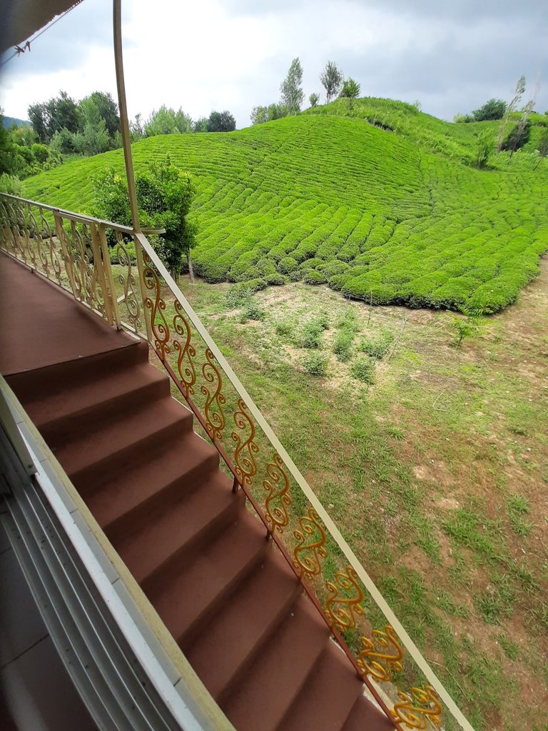 ویلا دوخوابه جنگلی سرای بهشت