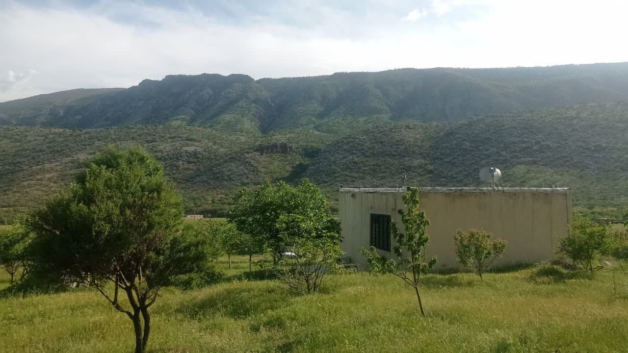 سوئیت یک خوابه خانه باغ بابایی