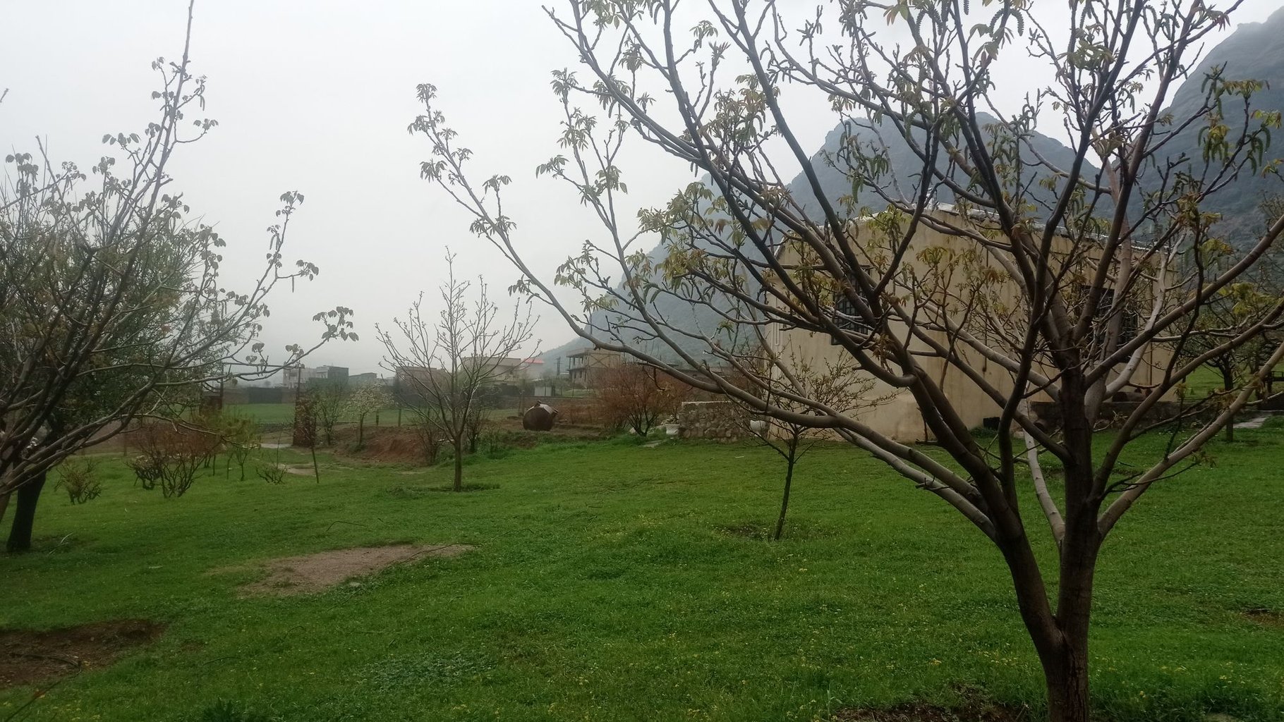 سوئیت یک خوابه خانه باغ بابایی