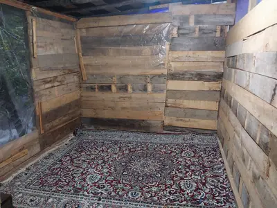 ویلا دوخوابه جنگلی احسان