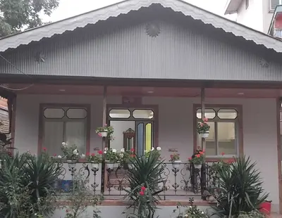 ویلا دوخوابه جنگلی احسان