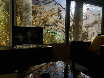 سوئیت فلت شیشه‌ای پله‌ گنجشک