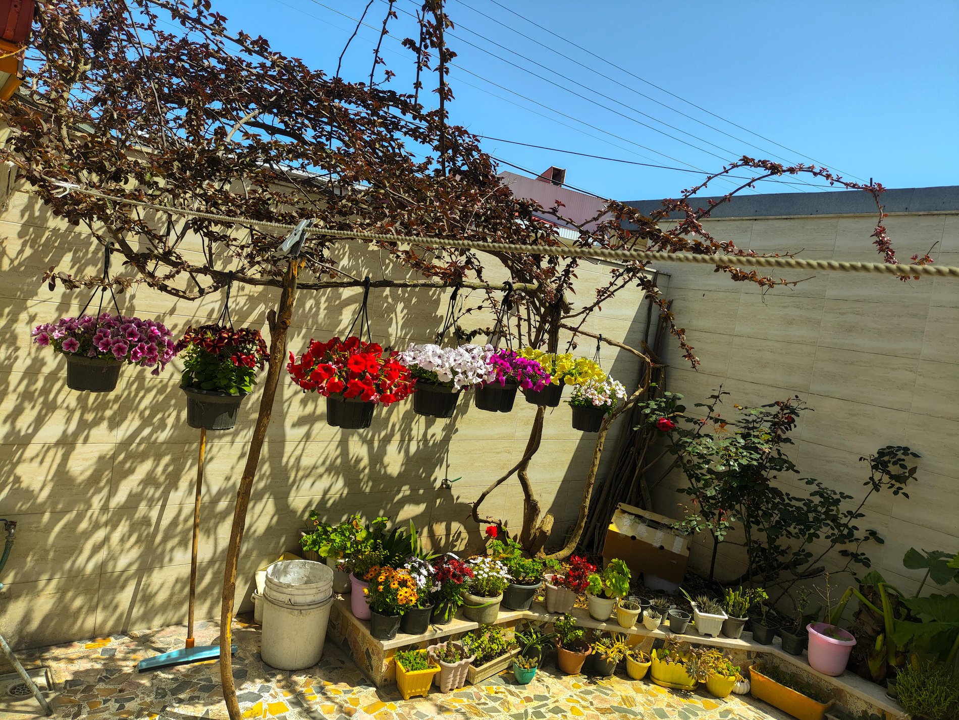 ویلا یک خوابه گلاور