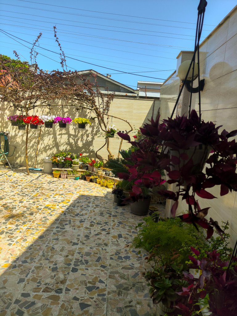 ویلا یک خوابه گلاور