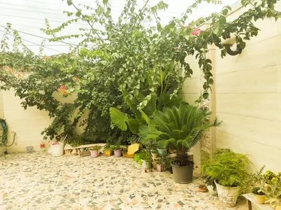 ویلا یک خوابه گلاور