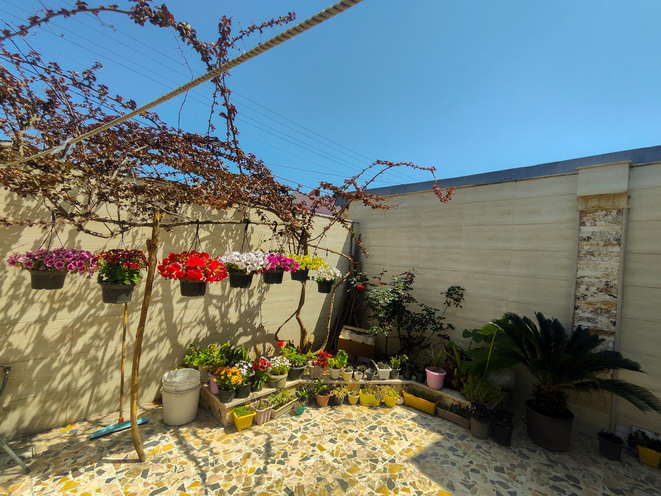 ویلا یک خوابه گلاور