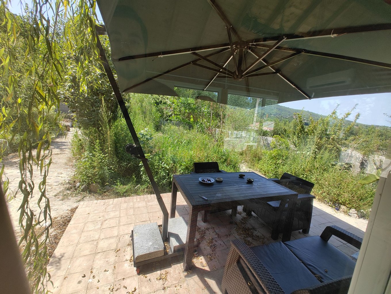 فلت جنگلی مانژه