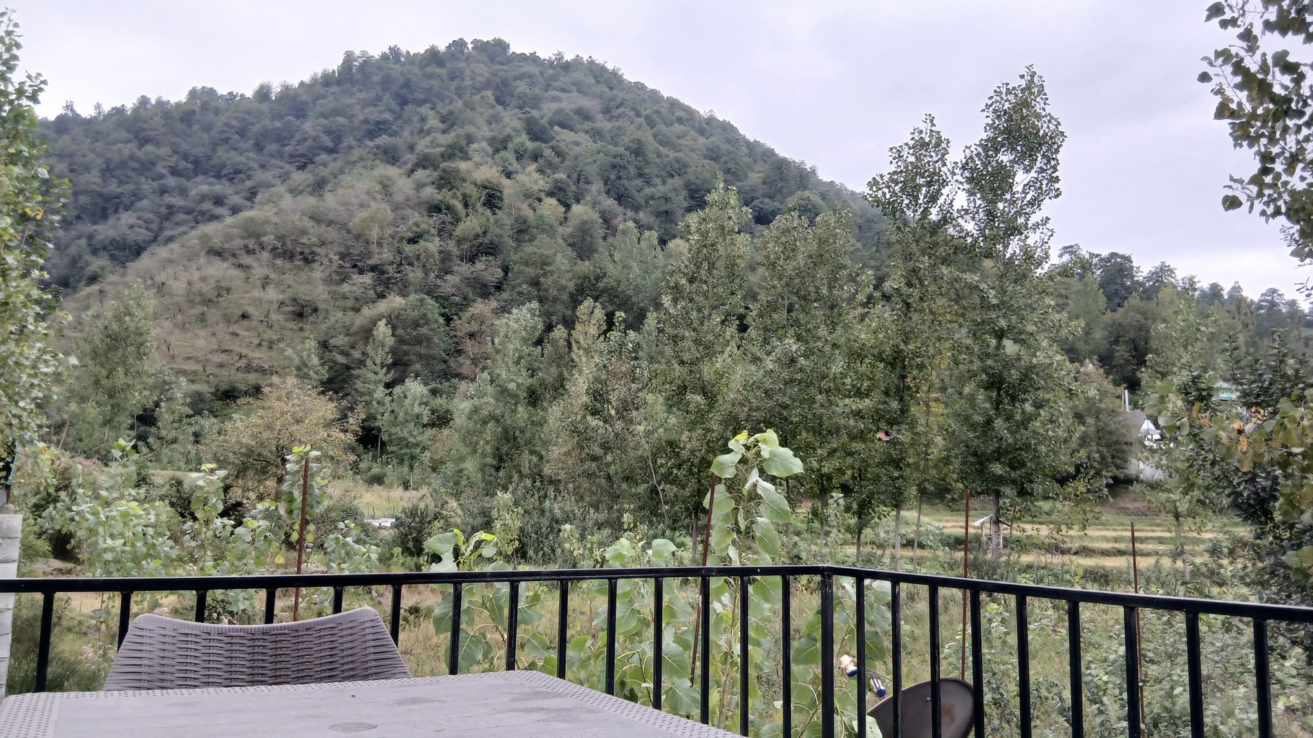 یک خوابه جنگلی جکوزی دار فرید لب رودخانه