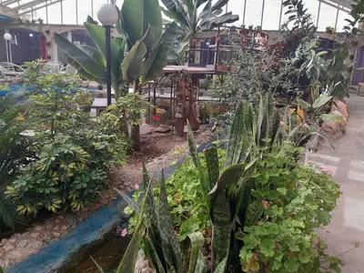 بومگردی سیمرغ فیروزکوه - واحد سرای مازندران