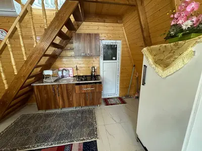 کلبه یک خوابه استخردار آبگرم سوئیسی رز