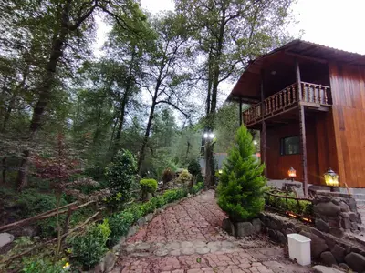 کلبه یک خوابه جنگلی آرسام