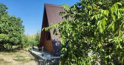 کلبه یک خوابه سوئیسی سرزمین سبز