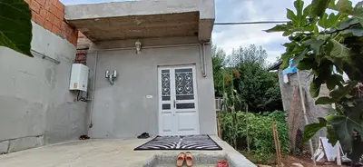 سوئیت یک خوابه جنگلی دیانا