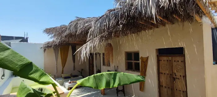 بوم گردی نقش - واحد گوشواره