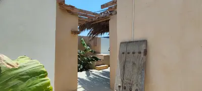 بومگردی نقش - واحد گوشواره